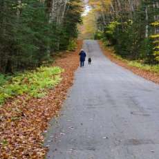 Sue & Franklin on An Autumn Walk, New Hampshire