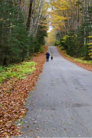 Sue & Franklin on An Autumn Walk, New Hampshire