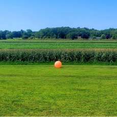 Cornfield Led by Orange Beach Ball, South Dartmouth MA