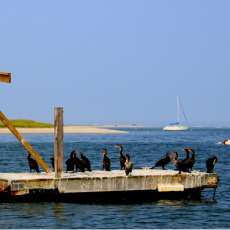 The Pirates Enter Chatham Harbor, Chatham MA