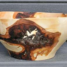 Willow Burl With Tree Shaped Bark Inclusion