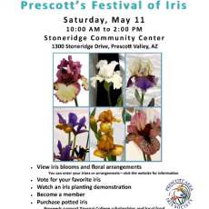 PAIS Festival of Iris