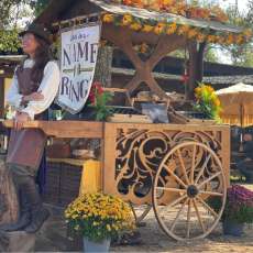 Renaissance Festival Cart