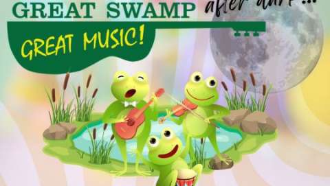 Great Swamp Great Music After Dark