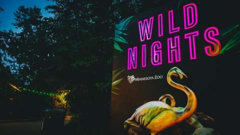 Wild Nights - MN Zoo