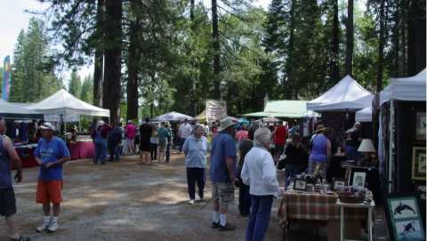 Forty-Sixth Arnold Spring Peddler'S FAIR ~ Arnold, CA