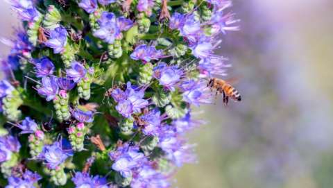 Nature DAY at the HIVE