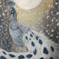 Winter Peacock