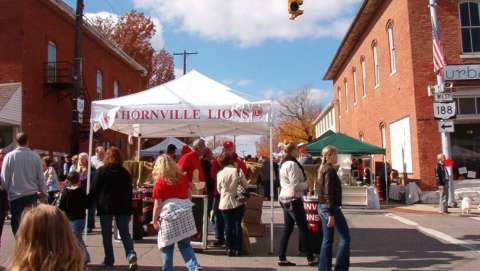 Thornville Lions Country Fair