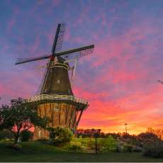 Windmill Sunrise