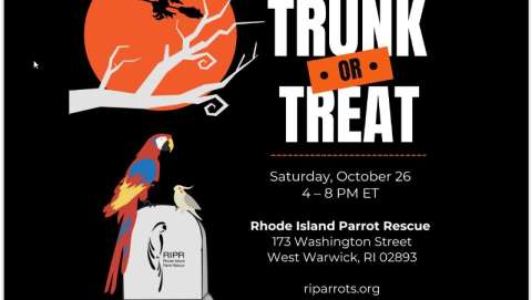 Spook-Tacular Trunk Or Treat