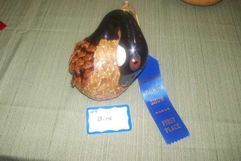First place award 2009 Illinois State Gourd Competition "Most realistic bird"  Canadian Goose.