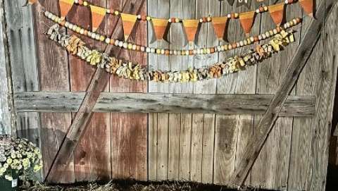 Taylor Farm Pumpkin Patch