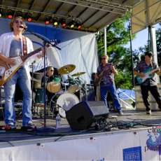 Cloven Peacock at Levittamp