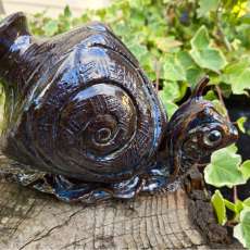 Snail Pot