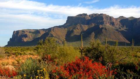 Artists of the Superstitions Gold Canyon Golf Resort