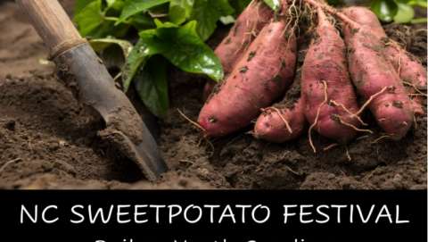 NC Sweetpotato Festival