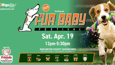 Fur Baby Festival