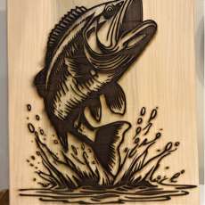 Fish Jumping Out Water