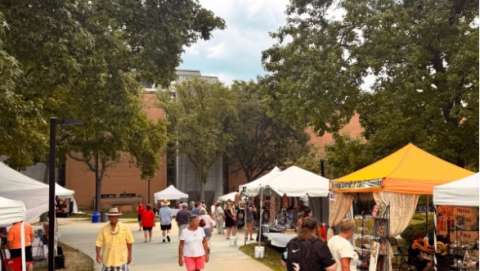 Youngstown Summer Festival of the Arts