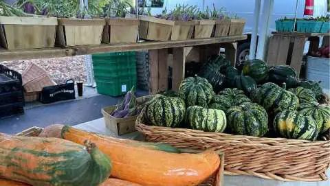 Peachtree Road Farmers Market - October