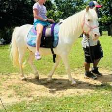 Public Pony Rides