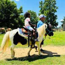 Mickey-Chateau Farms