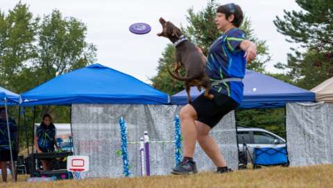 DogFest and Family Fun Day