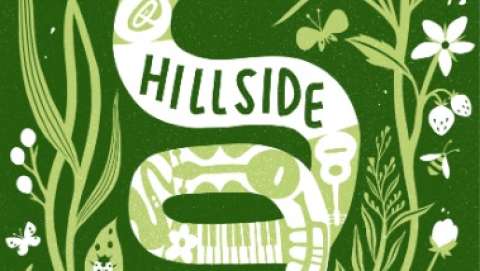 Hillside Festival