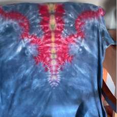 Red and Blue Scallop Design