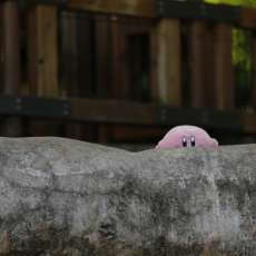Kirby at the Morton Arboretum Children's Garden 1