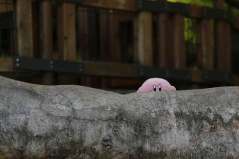 Kirby at the Morton Arboretum Children's Garden 1