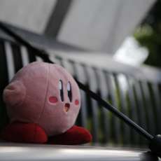 Kirby at the Morton Arboretum Children's Garden 2