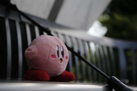 Kirby at the Morton Arboretum Children's Garden 2