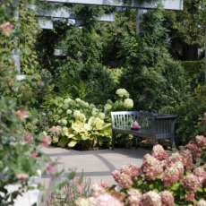 Kirby at the Morton Arboretum Children's Garden 4
