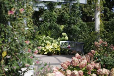 Kirby at the Morton Arboretum Children's Garden 4