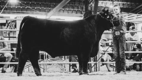 Palouse Empire Fair