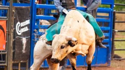 Bayfield County Fair
