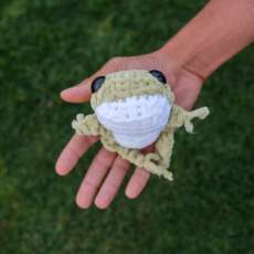 Mini Frog