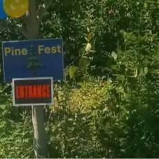 PineFest
