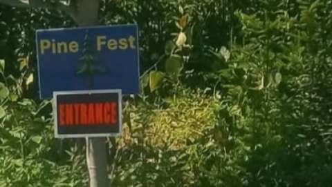 PineFest PineFest