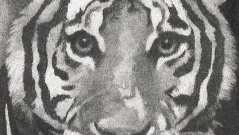 John Bigley John Bigley