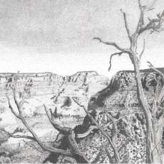 Grand Canyon, Arizona