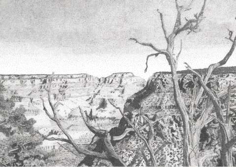 Grand Canyon, Arizona