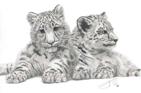 Siblings (Snow Leopard Cubs)
