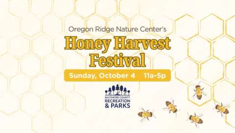 Honey Harvest Festival Honey Harvest Festival
