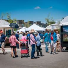 Denver Arts Festival Attendees