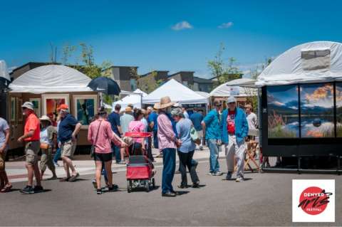 Denver Arts Festival Attendees