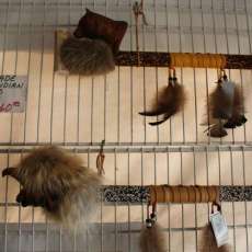 Creek Indian Pipes by La Ne Ayo