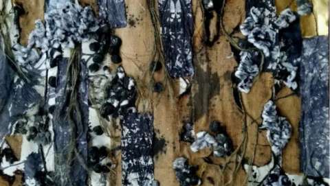 Art of Transformation: at the Edge of Entanglement